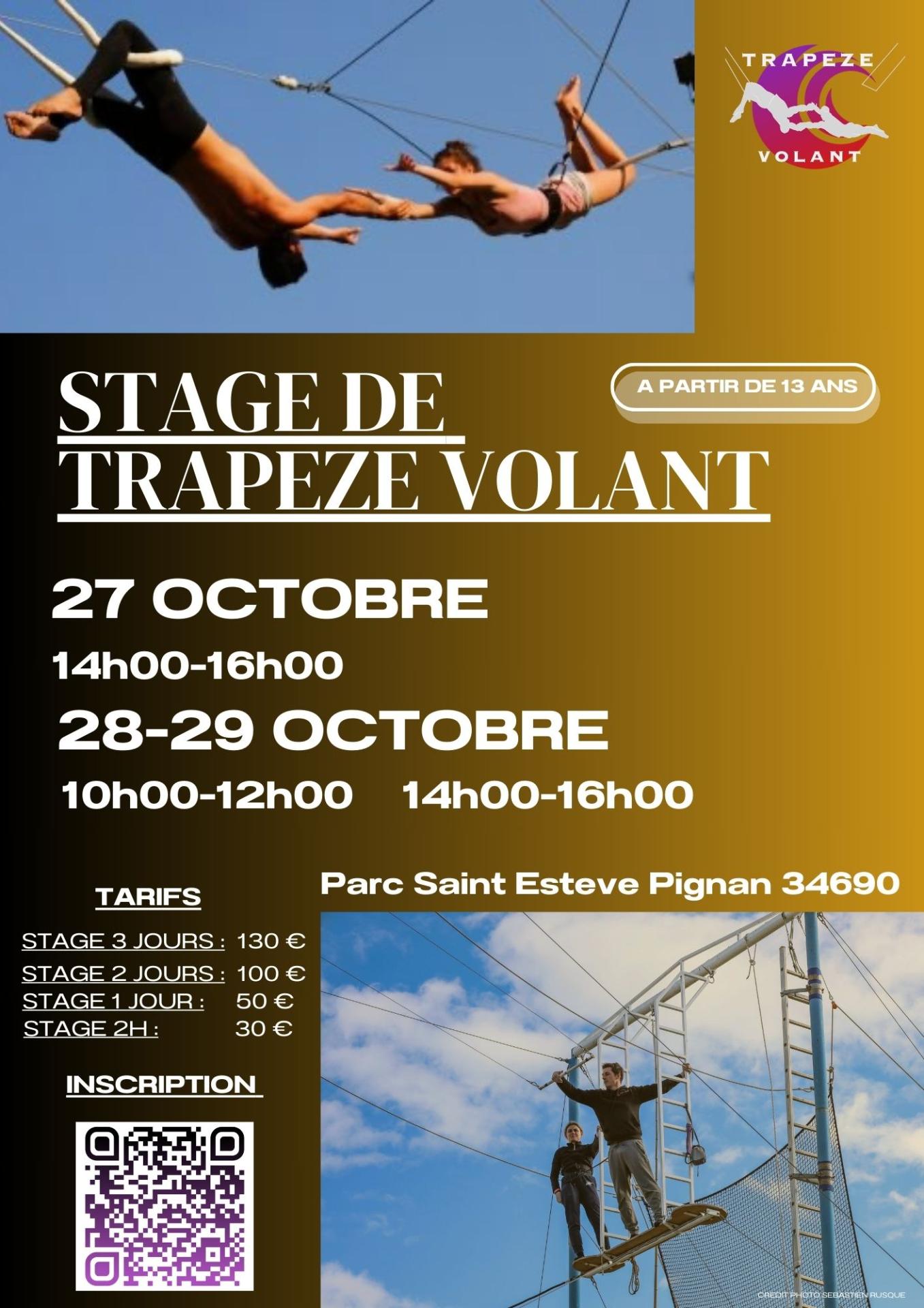 Violet bleu affiche stage de danse moderne bold